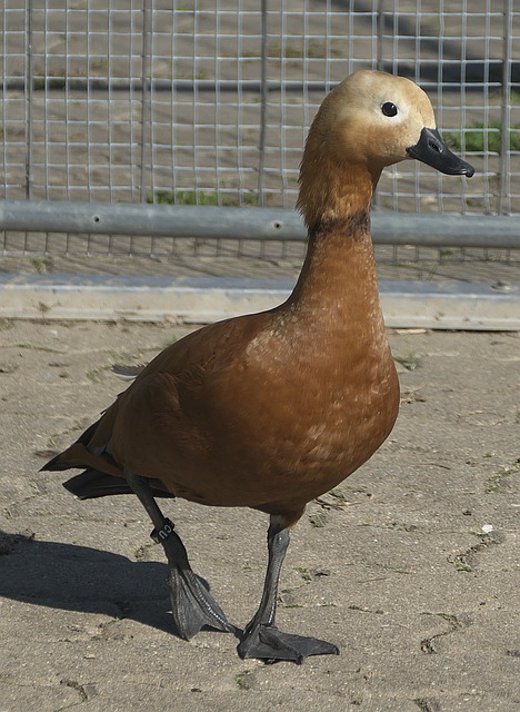 下共处