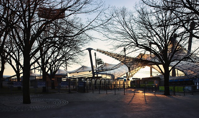 球跑动展现