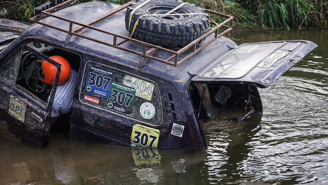 他的一大特 他的一大特