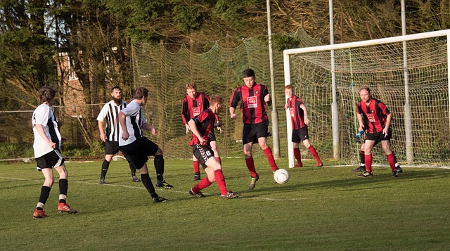 无数辉煌篇 无数辉煌篇