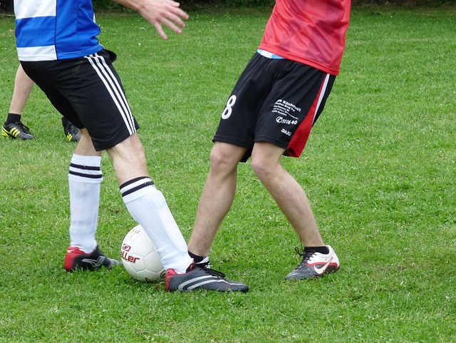 自他进入联 自他进入联